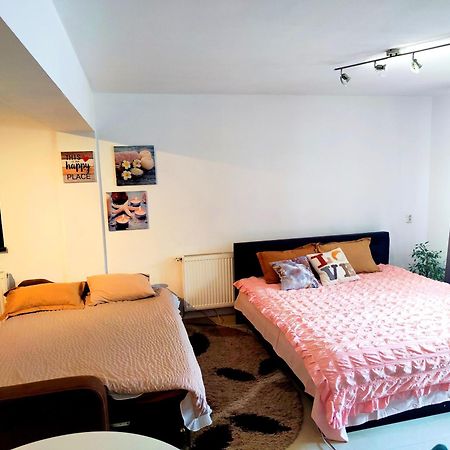 Studioul De Vis Appartement Braşov Buitenkant foto