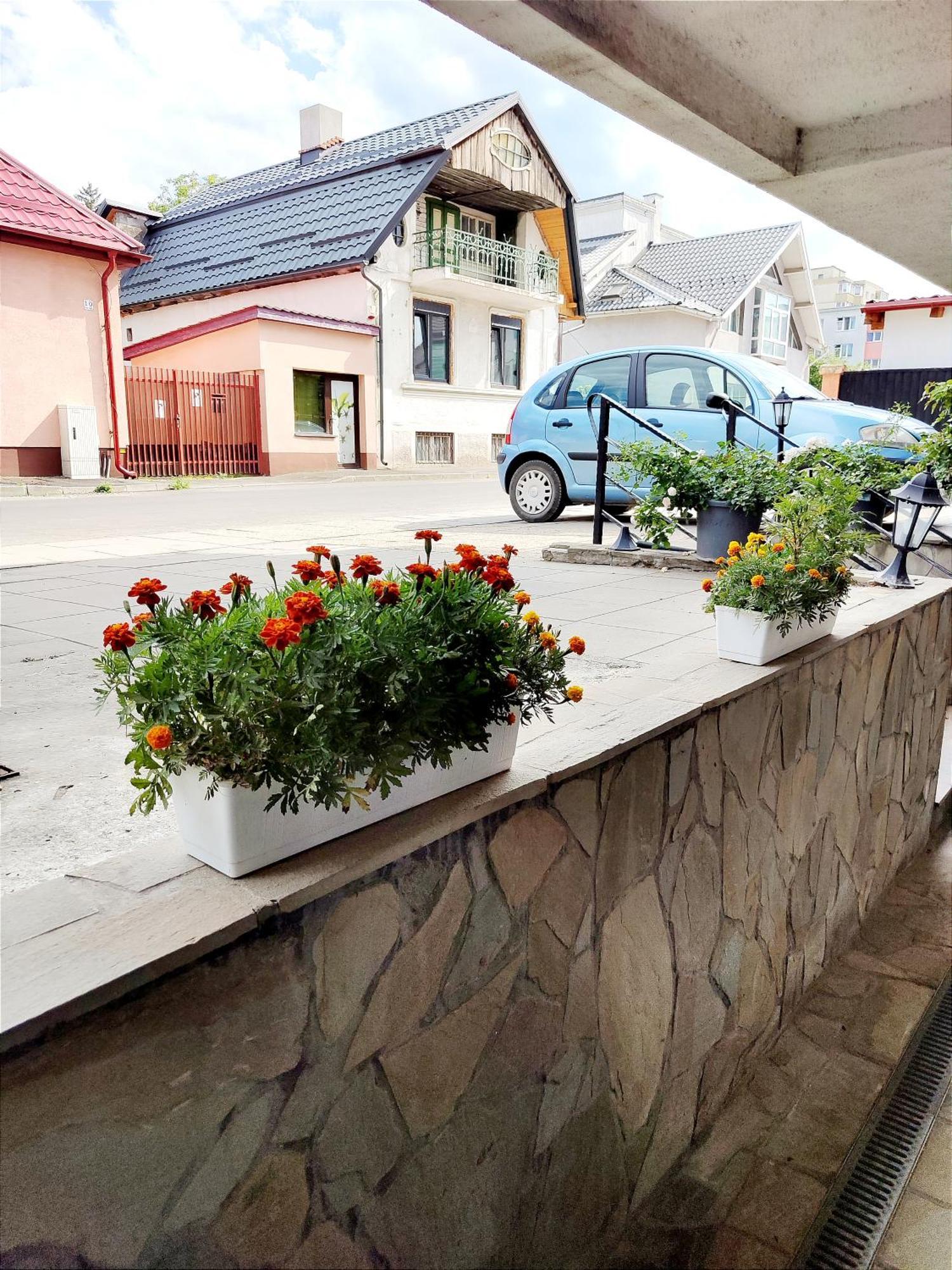 Studioul De Vis Appartement Braşov Buitenkant foto