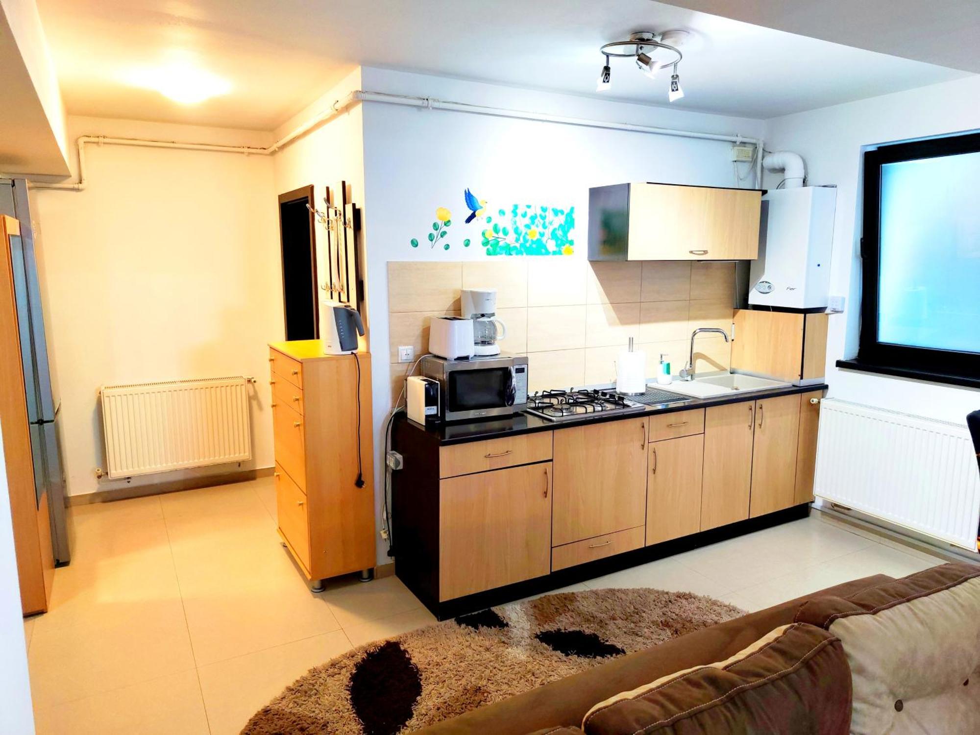 Studioul De Vis Appartement Braşov Buitenkant foto