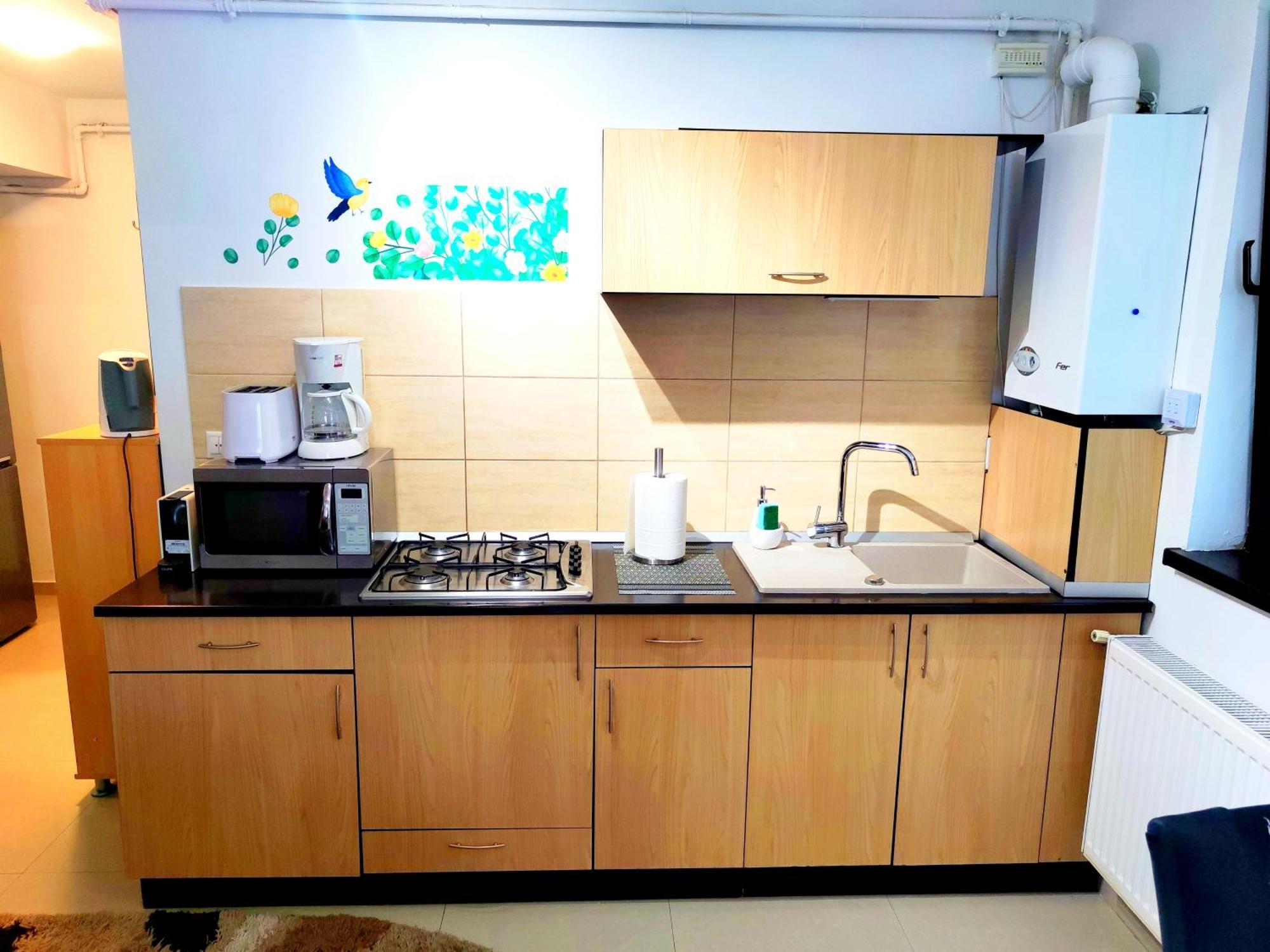Studioul De Vis Appartement Braşov Buitenkant foto